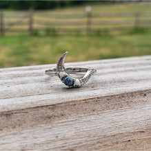 Load image into Gallery viewer, Luna