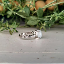 Load image into Gallery viewer, Bailey