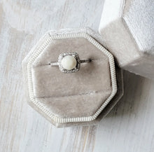 Load image into Gallery viewer, Leia