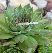 Load image into Gallery viewer, Classic Mother's Ring - Sterling Silver