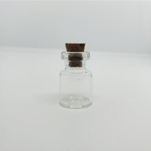 Load image into Gallery viewer, Fairy Bottle keepsake
